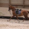 Juin 2010